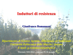 1a, Pr. Diamante (1800 mt, 11000 Eur, per maidens