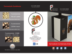 Termostufa Combinata Antes