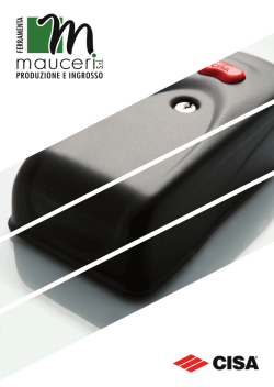 Serrature per porte in ferro Cisa.