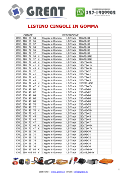 MAXI WILD LION OM_100.indd