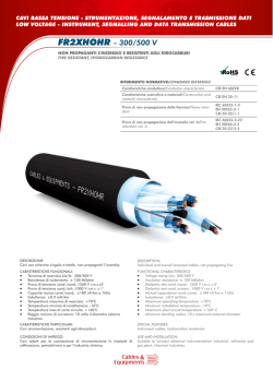 FR2XHOHR - 300/500 V