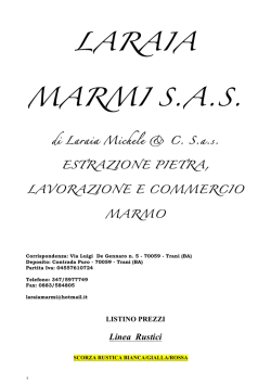 Shintoismo Tiziano Tosolini