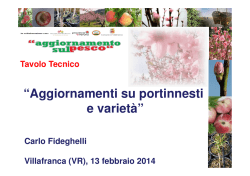 clicca qui per scaricare la relazione