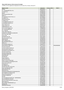Elenco delle imprese a forte consumo di energia