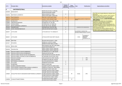 Scarica il documento