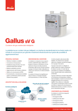 Gallus sV G