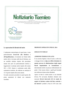 Le operazioni di dirado del melo