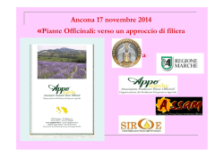 Cimarelli Maria Enrica - Test sulla sicurezza