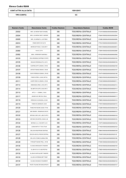 Codici IBAN associati ai conti di tesoreria: CC (formato PDF