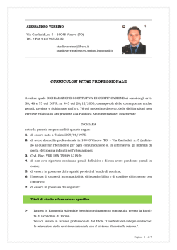 CURRICULUM VITAE PROFESSIONALE