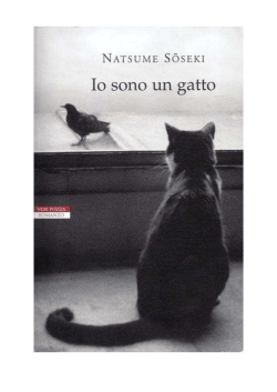 natsume soseki io sono un gatto