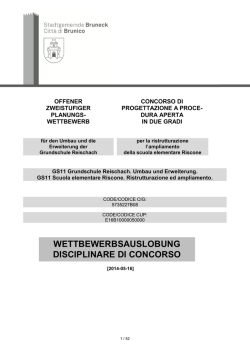 Disciplinare - professione Architetto