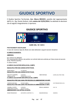 GIUDICE SPORTIVO