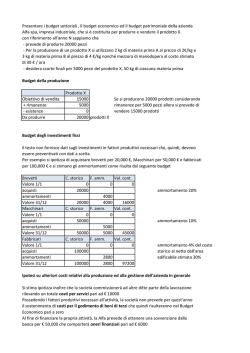 Esercitazione svolta: Business plan con dati a scelta