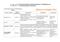Albicocco 8 luglio 2014