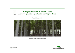 Progetto Paulownia CLONE IN VITRO 112