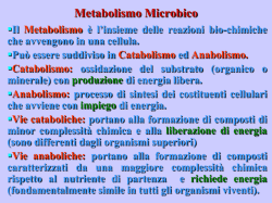 Metabolismo energetico - Associazione Studenti di Agraria IAAS