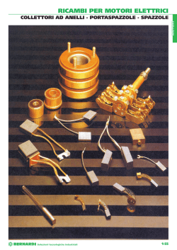 collettori portaspazzole spazzole