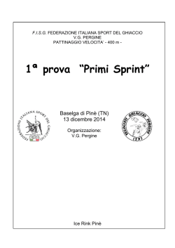 Apri/Open - Ice Rink Pin&egrave;