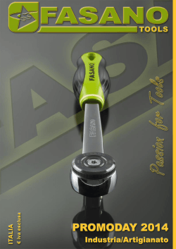 promoday fasangas 2014-industria