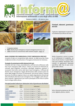Anb Informa 12 - Associazione Nazionale Bieticoltori