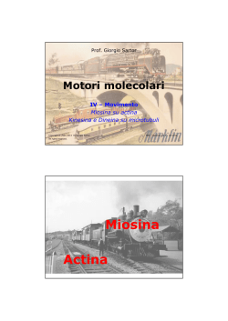 Motori molecolari - Università di Bologna
