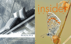 COLLECTION #1 - Insider Magazine