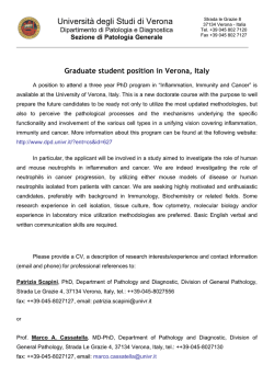 Universit&agrave; degli Studi di Verona