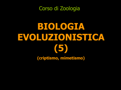 criptismo, mimetismo - Scienze | Roma Tre