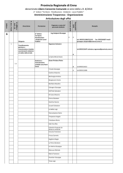 6&deg; Settore - Provincia Regionale di Enna
