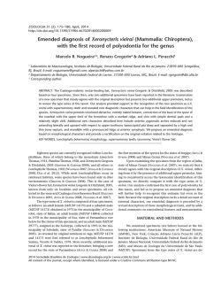 Emended diagnosis of Xeronycteris vieirai (Mammalia