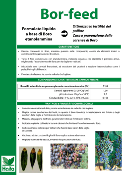 Formulato liquido a base di Boro etanolammina - Haifa