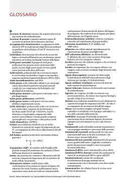 Clicca qui per scaricare il glossario. - Universit&agrave;