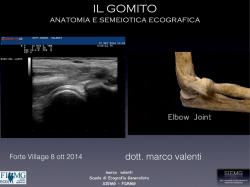 marco valenti Scuola di Ecografia Generalista SIEMG