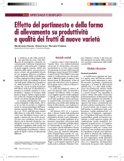 Effetto del portinnesto e della forma di allevamento su produttivit&agrave; e