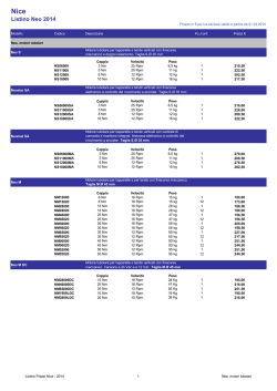 Elenchi definitivi elettori CSPI - IIS CHINI-MICHELANGELO