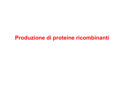 clonaggio mutagenesi espressione di proteine - e