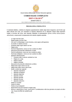 CORSO BASE COMPLETO DIEN CHAM/N