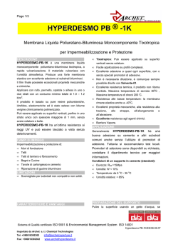 Judy Moody Goes to College