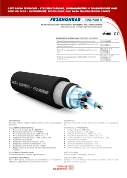 FR2XHOHRAR - 300/500 V