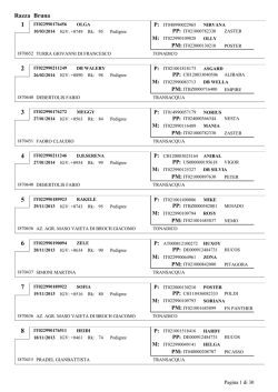 Crystal Reports ActiveX Designer