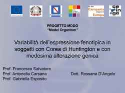 CAG - Progetto Modo