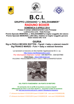 bci gruppo lodigiano “j. waldhammer” raduno boxer domenica 6