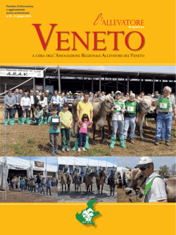 n.10 - 11 giugno 2014