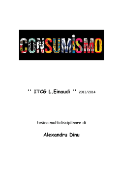 Tesina di Maturit&agrave; &ndash; Il consuismo &ndash; ITCG