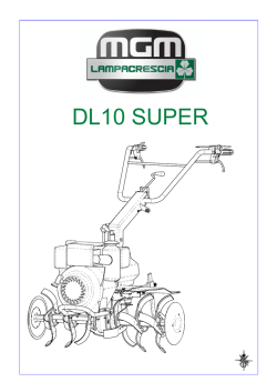 dl 10 super - Lampacrescia