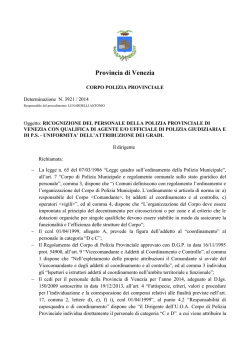 Provincia di Venezia