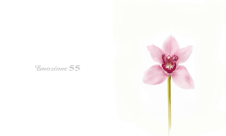 colour collection - yachtservice.it