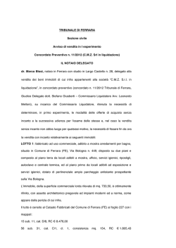 Avviso def. 1 esp. CMZ lotti vari semplice