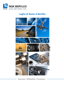 Leghe di Rame al Berillio